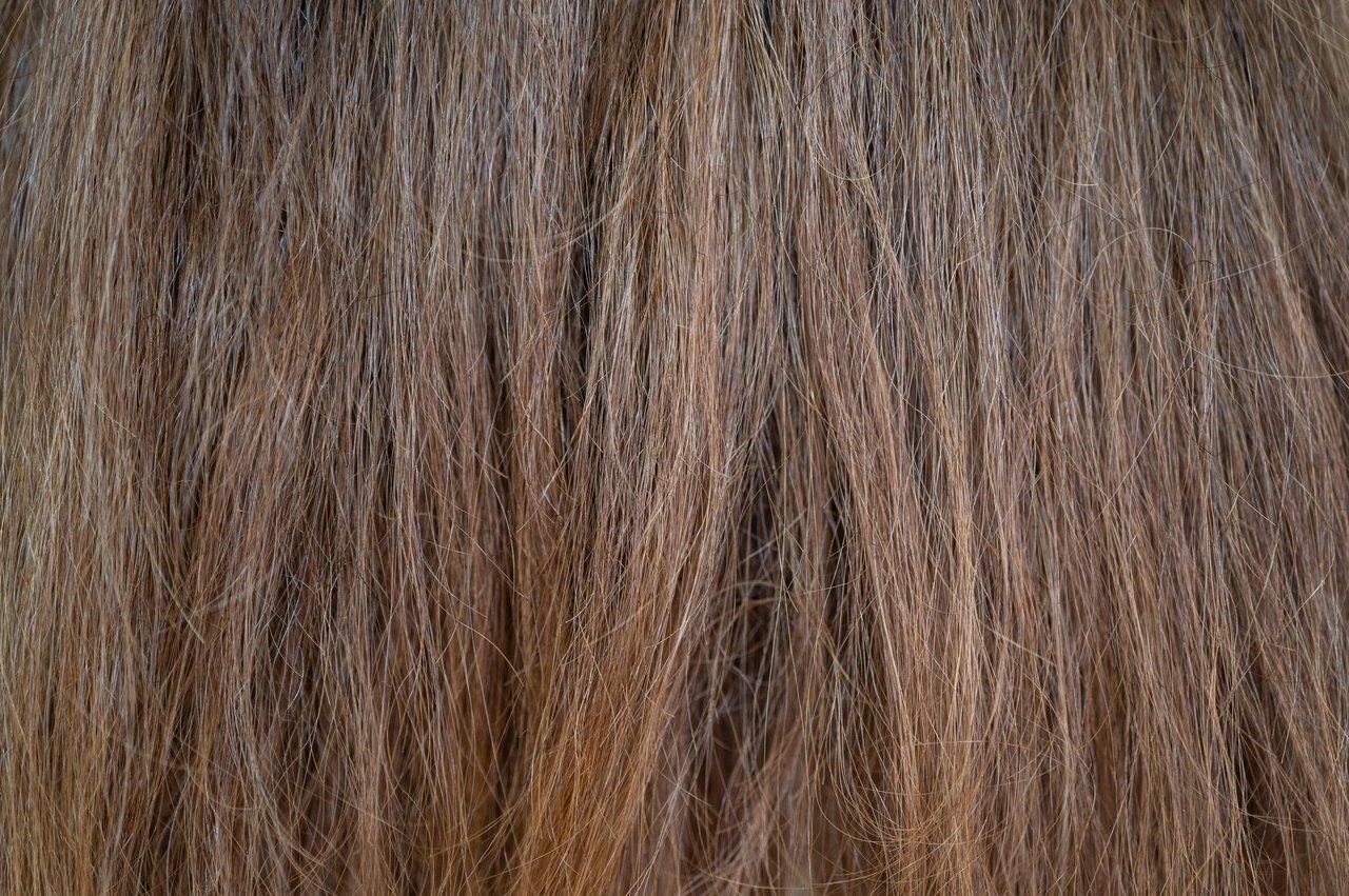 Chevelures variées illustrant la diversité des textures capillaires avec un soin low shampoo adapté.
