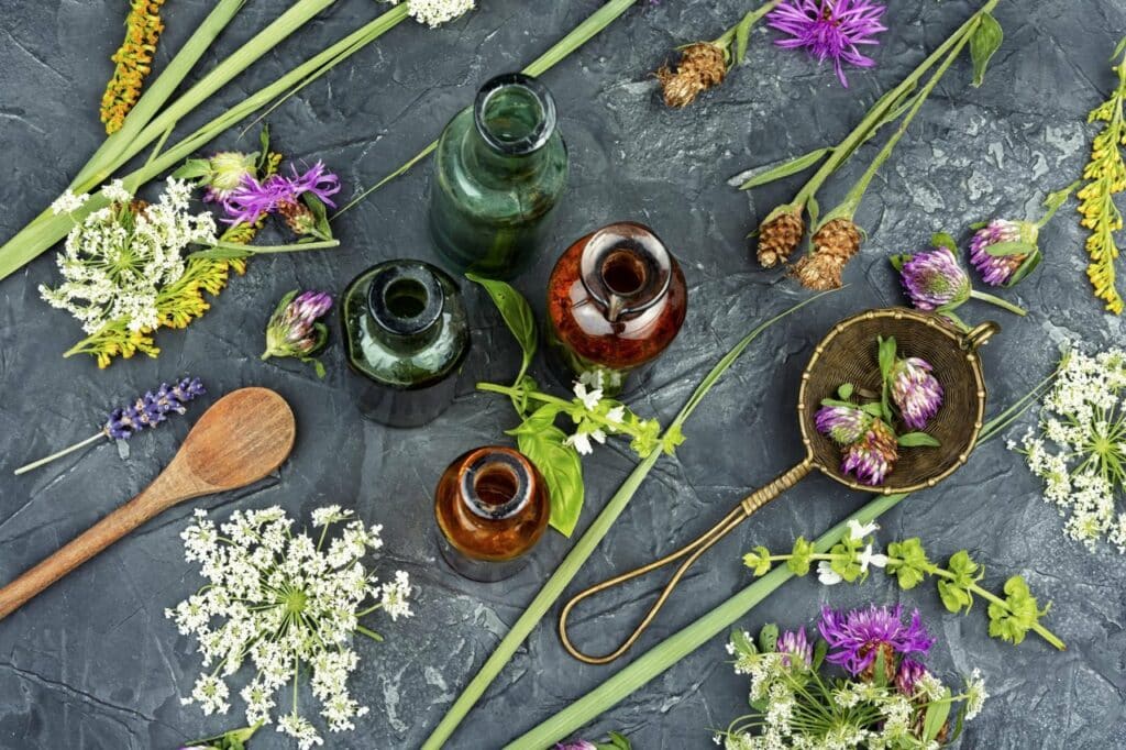fleurs-de-bach-histoire-et-origines-dun-remede-naturel-incontournable