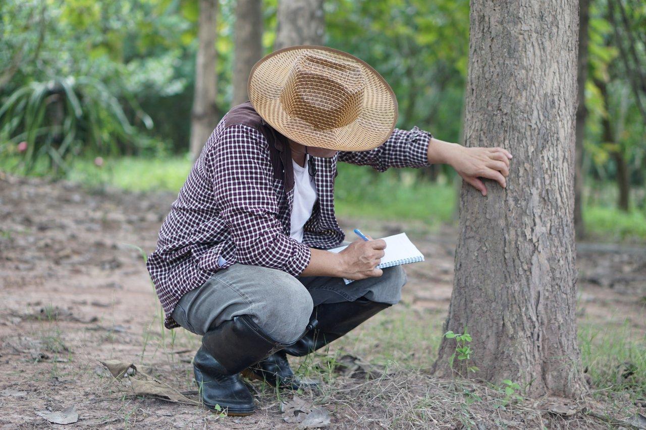 Photo vintage de botaniste en pleine nature, illustrant le travail sur le terrain pour découvrir les fleurs de Bach.