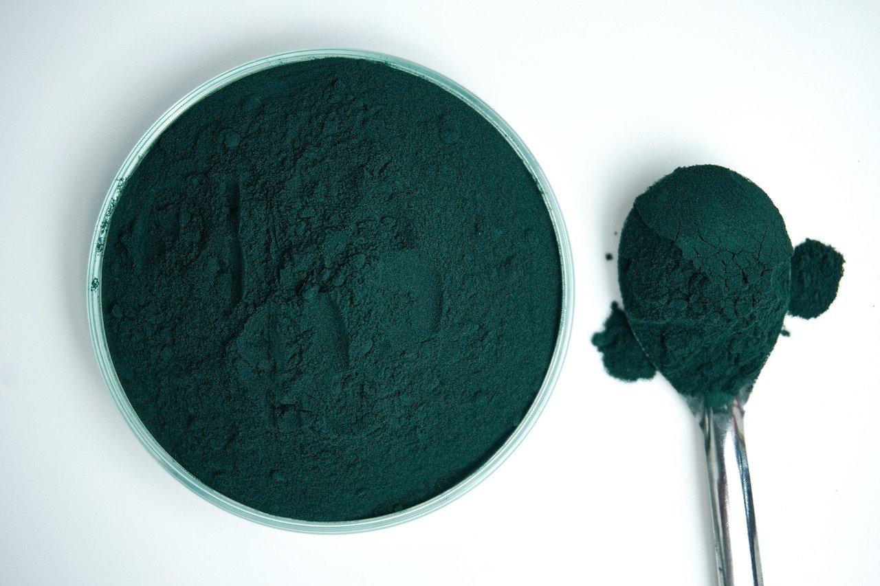 Superfoods riches en fibres et antioxydants : graines, algues et racines pour une digestion saine.